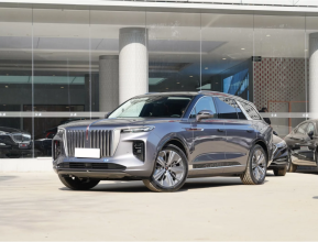 Hongqi E-HS9 2024 | testmd.bex-auto.com