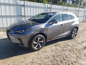 Lexus NX 300 2021 - 7 | testmd.bex-auto.com