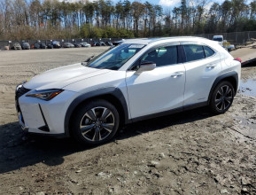 Lexus UX 250H 2020 - 1 | testmd.bex-auto.com