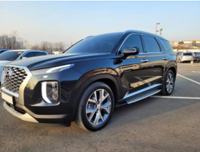 Hyundai Palisade 2020 - 1 | testmd.bex-auto.com