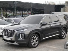 Hyundai Palisade 2019 - 2 | testmd.bex-auto.com