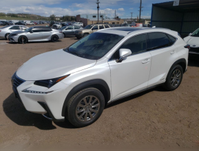 Lexus NX 300H 2019 - 1 | testmd.bex-auto.com